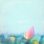 Place We Find (Explicit)