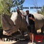 Last Rhino (Explicit)