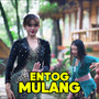 Entog Mulang