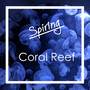 Coral Reef