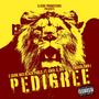 Pedigree (feat. Awol D, Big Boss & Woodlawn j) [Explicit]