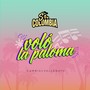 Voló la Paloma