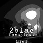 Conscious Mind