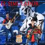 EL SIMULADOR