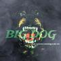 Big Dog (feat. DonDon Longway & Big Vee) [Explicit]