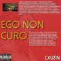 EGO NON CURO