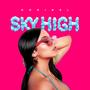 SKY HIGH (Explicit)