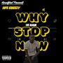 Why Stop Now (Explicit)