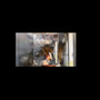 Eagle (Explicit)