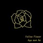 노란꽃(Yellowflower)