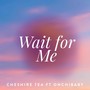 Wait for Me (Explicit)