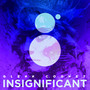 Insignificant