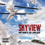 Skyview (Explicit)