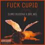 **** CUPID (Explicit)