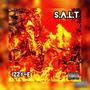 S.A.L.T (Explicit)