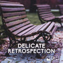 Delicate Retrospection