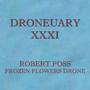 Droneuary XXXI - Frozen Flowers Drone