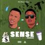 Sense (feat. Trizzy) [Explicit]