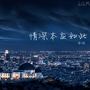 情深本应如此