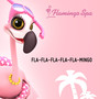 Fla-Fla-Flamingo