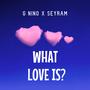 What Love Is?