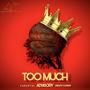 TOO MUCH (feat. Kali Freshman & Zain2Faded) [Explicit]