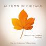 Autumn in Chicago