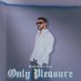 Only Pleasure