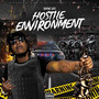 Hostile Environment (Explicit)