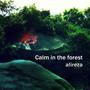 Calm in the forest