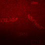 Kochaj mnie (albo nie) [Explicit]
