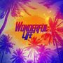 Wonderful life