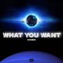 What You Want (Explicit)