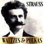 Strauss Waltzes & Polkas