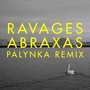 Abraxas (Palynka Remix)