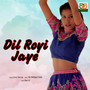 Dil Royi Jaye