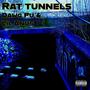 Rat Tunnels (feat. Lil Anus) [Explicit]