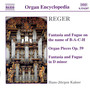 Reger, M.: Organ Works, Vol. 3 - Fantasia and Fugue on The Name of B-a-c-h / 12 Organ Pieces / Fantasia and Fugue in D Minor (H.-J. Kaiser)