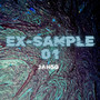 EX-SAMPLE 01