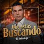 Que Estas Buscando