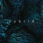 Hybrid