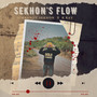 Sekhon's Flow (Explicit)