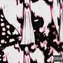 Why? (Explicit)