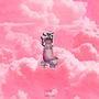 SAKE // LEARNIN' (Explicit)