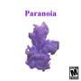 Paranoia (Explicit)