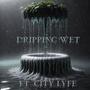 Dripping Wet (feat. City Lyfe) [Radio Edit]