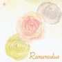 Ranunculus (feat. Ci flower & 知声)