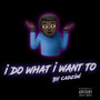 I Do What I Want To (Explicit)