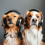 Canine Harmonics: Soothing Tunes for Dogs