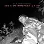 2025: INTROSPECTIVE EP (Explicit)